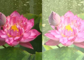Sony Xperia 1 VIII Disorot Gara-gara Contoh Foto AI yang Berlebihan